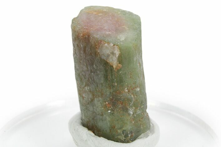 Bicolor Elbaite Watermelon Tourmaline - Afghanistan #354926